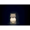My Soft Led Nightlight Racoon - Silicone<Kaloo Hot