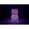 My Soft Led Nightlight Racoon - Silicone<Kaloo Hot